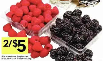IGA Blackberries or Raspberries offer