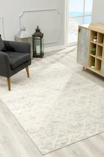 Walmart Rug Branch Havana Collection Traditional Distressed Area Rug Large (8x11 feet) - 7'9" x 10'8", Ivory offer