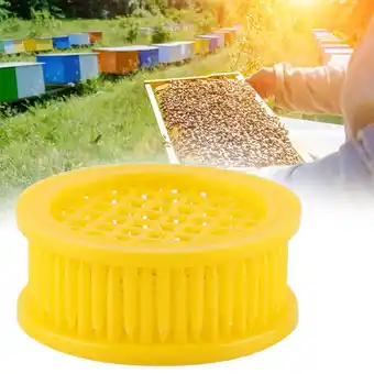 Walmart LHCER Beekeeping Equipment,6 Pcs Queen Bee Rearing Box Cell Beekeeping Equipment,Queen Bee Rearing Box offer