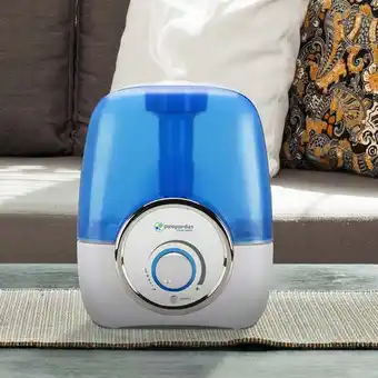 Walmart PureGuardian 100-hour Ultrasonic Cool Mist Humidifier offer