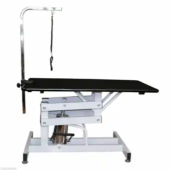 Walmart PawHut Deluxe Professional Z-Lift Hydraulic Pet Dog Grooming Table with Arm Noose offer