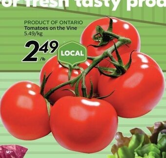 Sobeys Tomatoes on the VIne offer