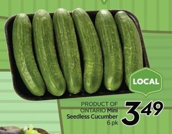 Sobeys Mini Seedless Cucumber offer