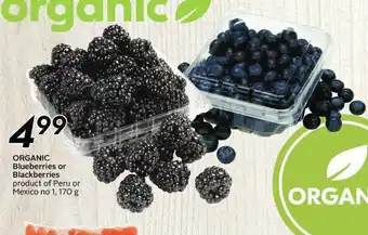 Sobeys Organic Blueberries or Blackberries offer