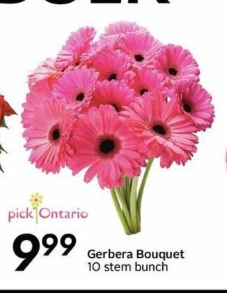 Sobeys Gerbera Bouquet offer