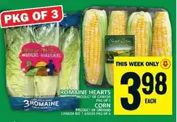 Food Basics Romaine hearts offer
