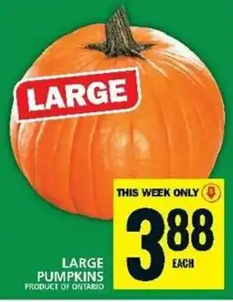 Food Basics Large pumpkins offer