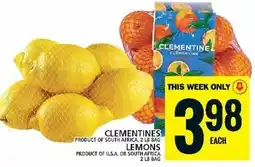 Food Basics Lemons offer