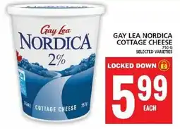 Food Basics Gay lea nordica cottage cheese offer