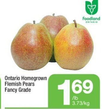 Highland Farms Ontario Homegrown Flemish Pears Fancy Grade offer