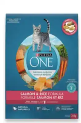 Walmart Purina ONE Dry Cat Food offer
