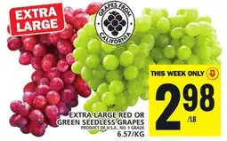 Food Basics EXTRA LARGE RED OR GREEN SEEDLESS GRAPES offer