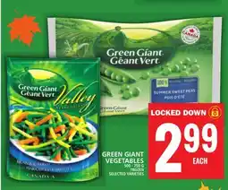 Food Basics GREEN GIANT VEGETABLES offer
