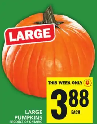 Food Basics LARGE PUMPKINS offer