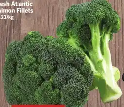 Foodland Broccoli Bunches offer