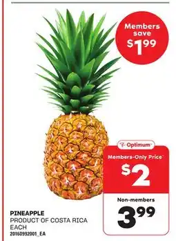 Loblaws PINEAPPLE offer