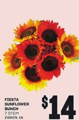 Loblaws FIESTA SUNFLOWER BUNCH, 7 STEM offer