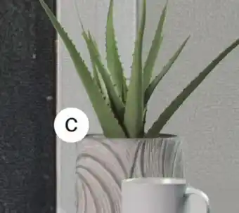 Dot Furniture Aloe Planter offer