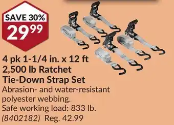 Princess Auto 4 pk 1-1/4 in. x 12 2,500 lb Ratchet Tie-Down Strap Set offer