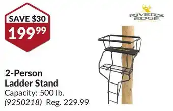 Princess Auto 2-Person Ladder Stand offer