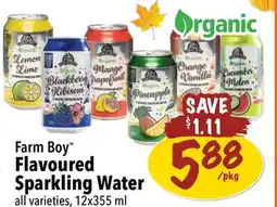 Farm Boy Farm Boy Flavoured Sparkling Water offer