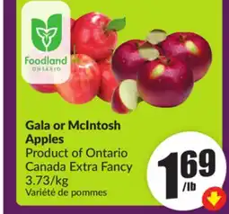 Chalo FreshCo Gala or McIntosh Apples Product of Ontario Canada Extra Fancy 3.73/kg offer