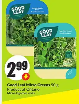 Chalo FreshCo Good Leaf Micro Greens 50 g Product of Ontario offer