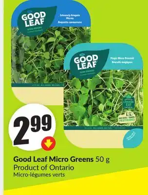 Chalo FreshCo Good Leaf Micro Greens 50 g Product of Ontario offer