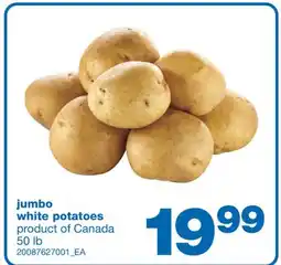 Wholesale Club JUMBO WHITE POTATOES, 50 lb offer