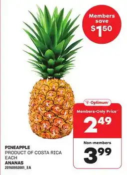 Independent City Market PINEAPPLE offer