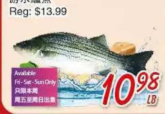 Foody Mart Live Striped Bass offer