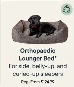 Petvalu Orthopaedic Lounger Bed offer