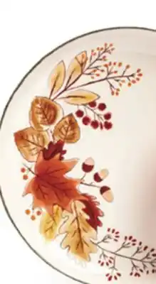 Walmart harvest Tableware offer