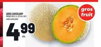 Metro GROS CANTALOUP | LARGE CANTALOUPE offer