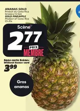 IGA GOLD PINEAPPLE offer