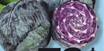 IGA RED CABBAGE offer