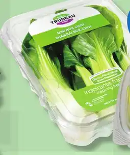 IGA FERMES TRUDEAU BABY BOK CHOY JUNIOR offer