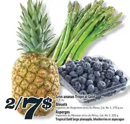 Marché Richelieu Gros ananas Tropical Gold | Tropical Gold large pineapple offer
