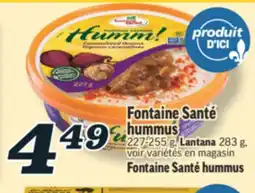 Marché Richelieu HUMMUS FONTAINE SANTÉ | FONTAINE SANTÉ HUMMUS offer