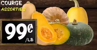 Marche Salaberry courge offer
