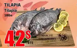 Marche Salaberry TILAPIA offer