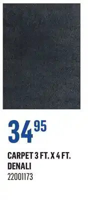 Canac Carpet 3 ft. x 4 ft offer