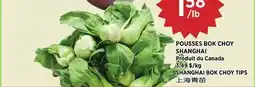 Kim Phat SHANGHAI BOK CHOY TIPS offer