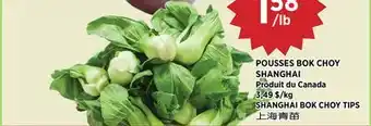 Kim Phat SHANGHAI BOK CHOY TIPS offer