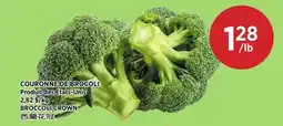 Kim Phat BROCCOLI CROWN offer