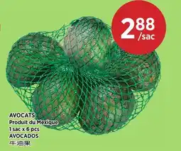 Kim Phat AVOCADOS offer