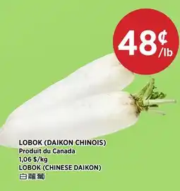 Kim Phat LOBOK (CHINESE DAIKON) offer