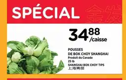 Kim Phat SHANGHAI BOK CHOY TIPS offer