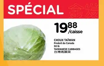 Kim Phat TAIWANESE CABBAGES offer