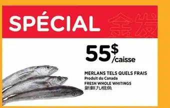 Kim Phat FRESH WHOLE WHITINGS offer